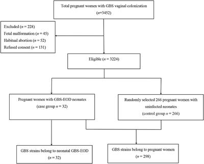 Identification of Group B Streptococcus Serotypes and Genotypes in Late Pregnant Women and Neonates That Are Associated With Neonatal Early-Onset Infection in a South China Population